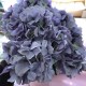 Kunstig Blomst - Lavender Hortensia Stilk 40 cm