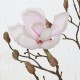 Magnolia Gren creme 89 cm - kunstig plante