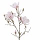 Magnolia Gren creme 89 cm - kunstig plante