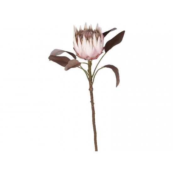 Fleur Protea Blomst 66 cm AW20