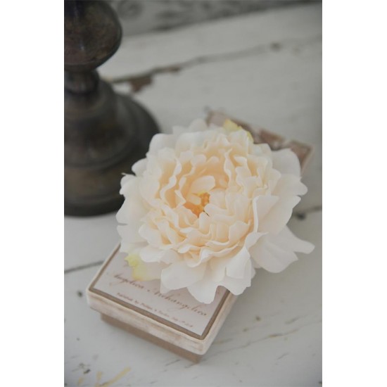 Flot Vintage Rose cream fra Jeanne DArc Living