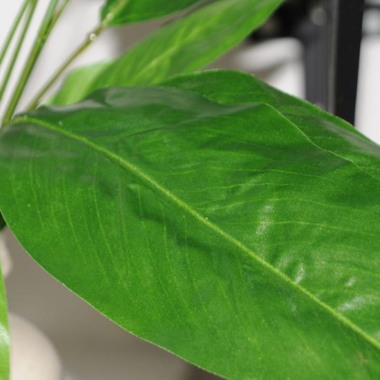 Kunstig Blomst - Stueplante med store Grønne blade og Hvid blomst 60cm høj plante