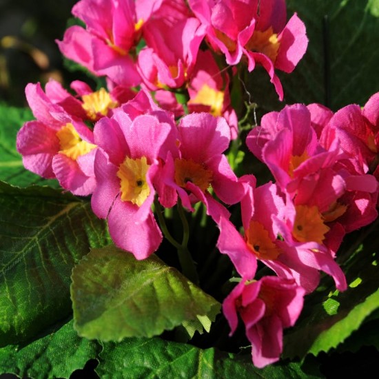 Kunstig Blomst - Primula pink 20cm høj med ca 10 blomster