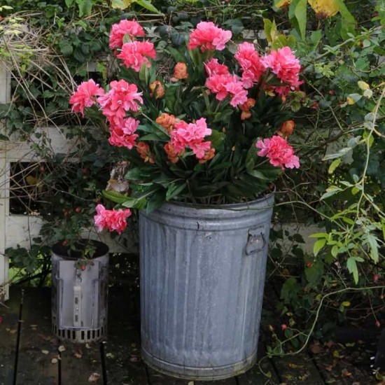 Kunstig plante - Store Rhododrendon Grene rosa 70cm høj