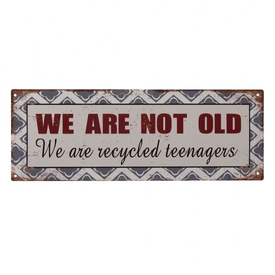 Skilt We are recycled teenagers B36cm