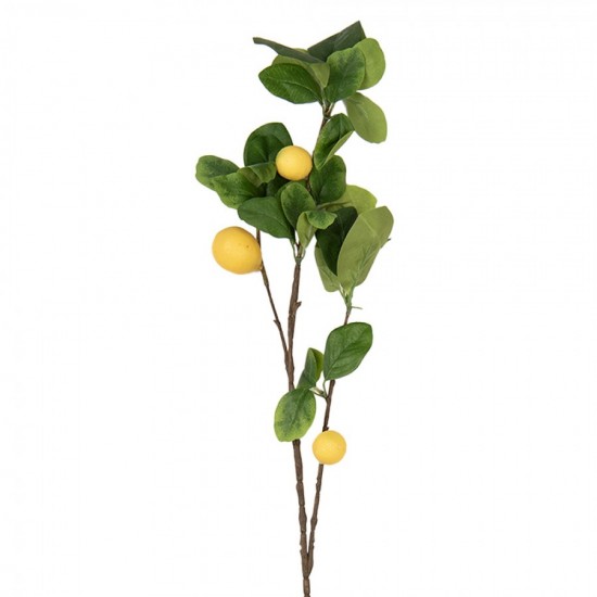 Gren citron H73cm