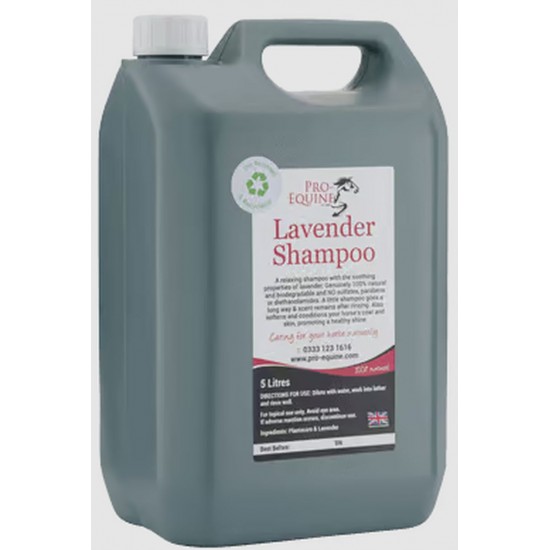 Lavendel shampoo hest 5 liter