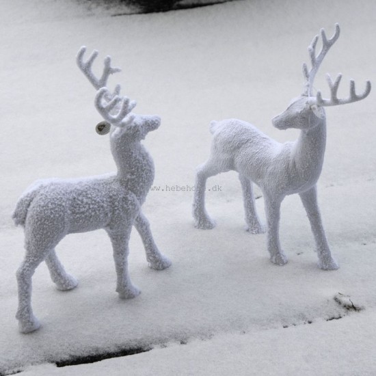 Kronhjort sæt - stående 30 cm - Hvid