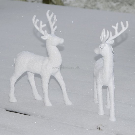 Kronhjort sæt - stående 30 cm - Hvid