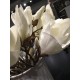 Hvid Magnolia 40cm - kunstig plante