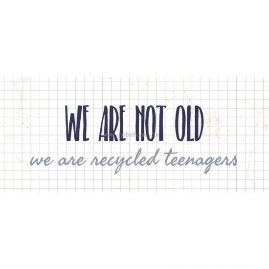 Metalskilt - We are not old