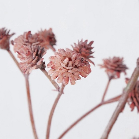 Kunstig Blomst - Brudeslør mørk rosa 60 cm