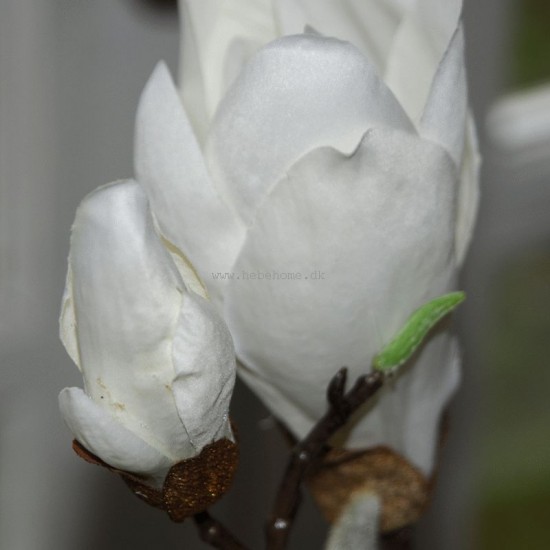 Hvid Magnolia 40cm - kunstig plante