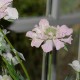 Lyserød blomst 70cm  - kunstig plante