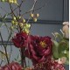 Blomstergren Peony Rose Bordeaux 60 cm - Kunstig Blomst